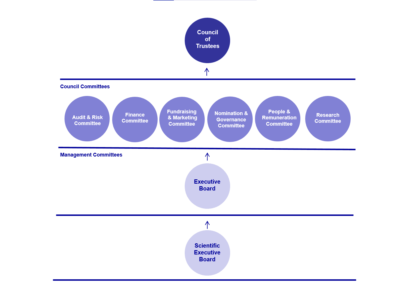 council of trustees diagram showing council committees and management committees.