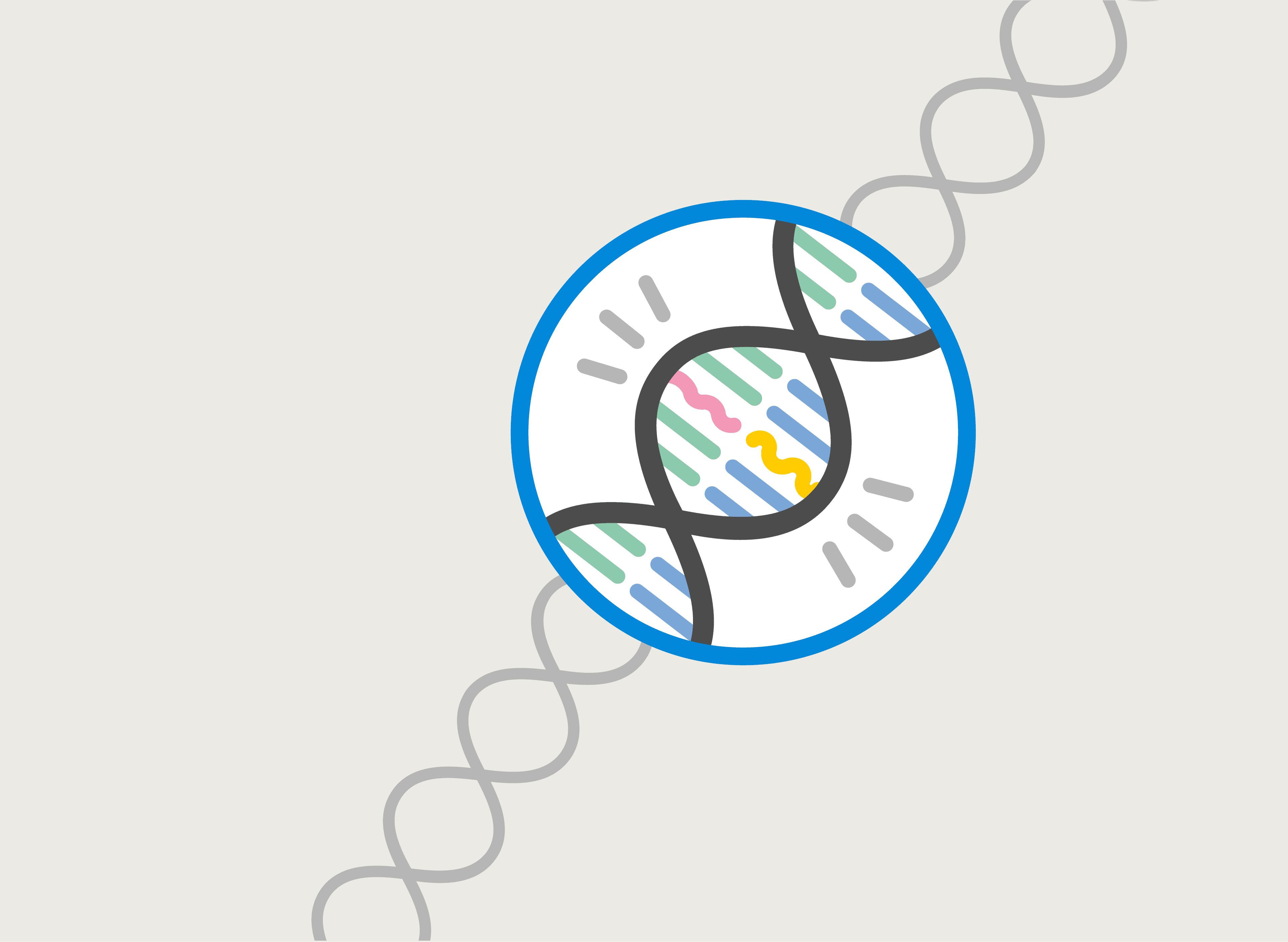 An illustration of a DNA genome under a microscope.