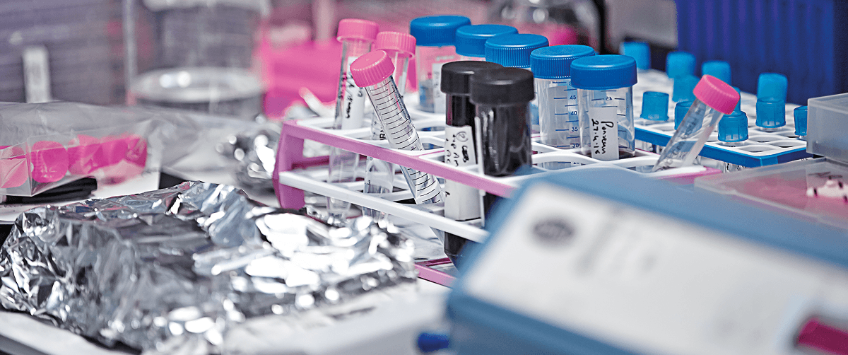 A photo of lab equipment.