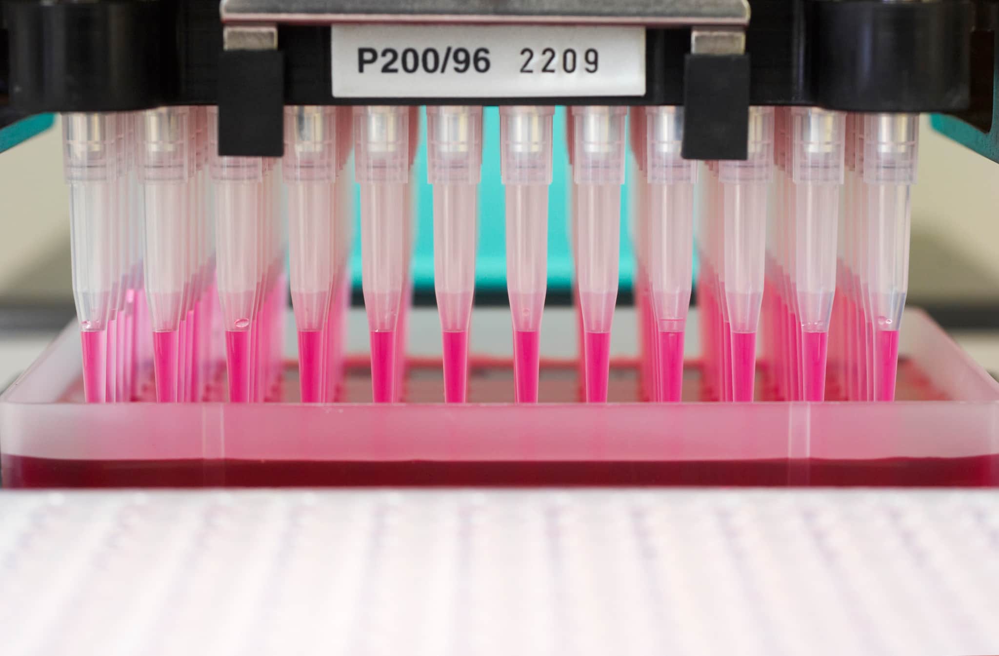 Pipettes-Lab equipment.