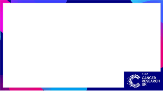 A streaming boarder for desktop.