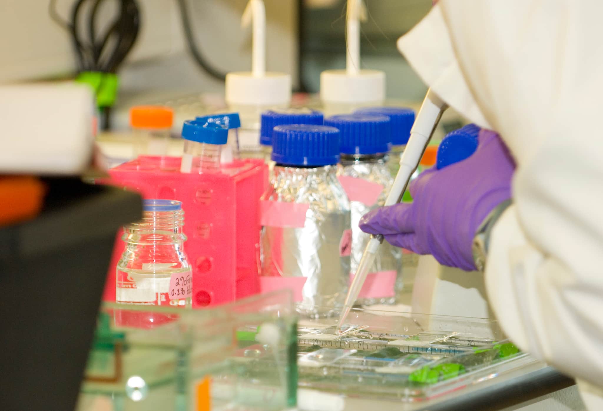 A scientist uses a pipette in a laboratory, with bottles, vials, and other lab equipment on the workbench.